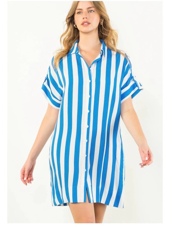 THML Dresses & Skirts - THML Blue and White Striped Button-Down Shirt Dress